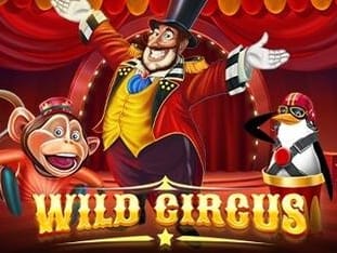 Wild Circus screenshot